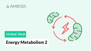 Energy Metabolism  Part 2 Glycolysis Reactions with molecular structures [upl. by Tterag644]