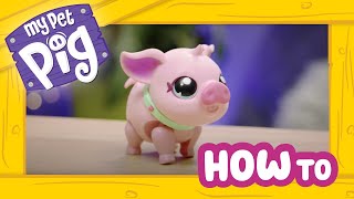 Little Live Pets  My Pet Pig  How To Care and Play [upl. by Isolt893]