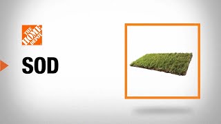 How to Choose Sod  The Home Depot [upl. by Ahsitahs]