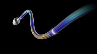 How Do Cilia and Flagella Move [upl. by Ociredef]