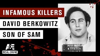 Infamous Killers David Berkowitz the Son of Sam  AampE [upl. by Hunt]