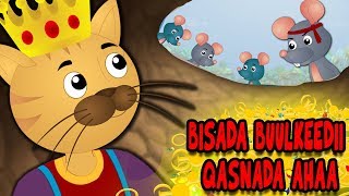 Bisada Buulkeedii Qasnada ahaa  Sheeko Xariireed  Cats Treasure Somali Moral Story  Animation [upl. by Jordison]