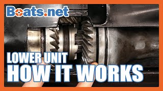 How an Outboard Lower Unit Works  How an Outboard Gearbox Works  Boatsnet [upl. by Na]