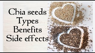 Chia seeds  types  benefits amp side effects [upl. by Atimed]