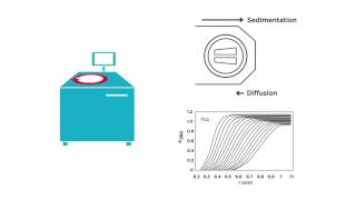 Introduction to Analytical Ultracentrifugation AUC 101 [upl. by Kendry]