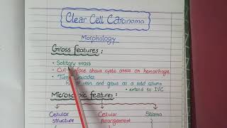 Hallmarks of Cancer  Pathophysiology [upl. by Alysa228]