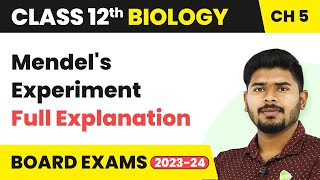 Mendels Experiment Full Explanation  Principles of Inheritance and Variation  Class 12 Biology [upl. by Analiese849]