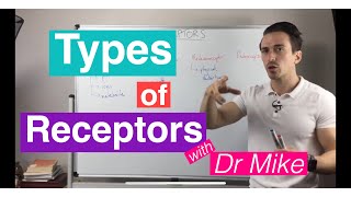 Types of Sensory Receptors [upl. by Rutger598]