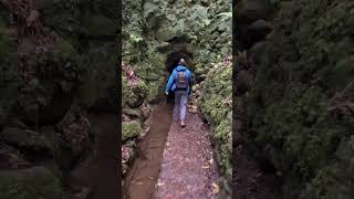 Best Hike in Madeira [upl. by Janicki]