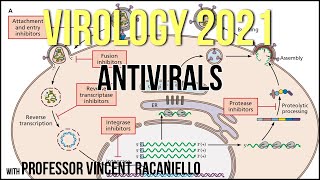 Virology Lectures 2021 20  Antivirals [upl. by Ahsinat938]