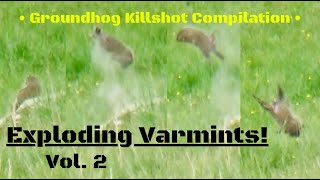 Groundhog Killshot CompilationExploding Varmints Vol 2 [upl. by Ajat814]