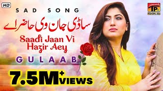 Gulaab  quotSadi Jaanquot  Latest Punjabi Songs  TP Gold [upl. by Bradleigh]