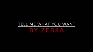 ZEBRA  TELL ME WHAT YOU WANT 1983 LYRICS [upl. by Intihw]