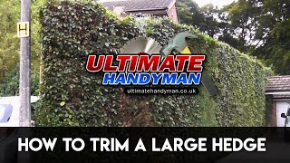 How to trim a large hedge [upl. by Clough145]