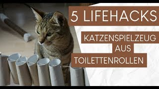 5 Hacks Katzenspielzeug aus Klopapierrollen basteln [upl. by Nellad]