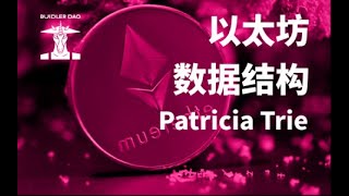 Patricia Trie  压缩稀疏结构的利器！ [upl. by Henriette]