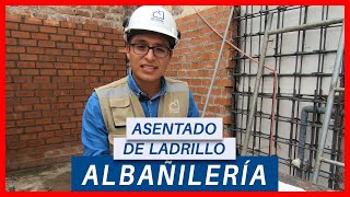 CÓMO ASENTAR LADRILLO CORRECTAMENTE  TIPS CONSTRUCTOR  ALBAÑILERIÁ [upl. by Pachton37]