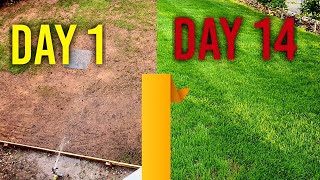 Watering new grass seed day 1 7 14  4 Week Time Lapse [upl. by Massimiliano]