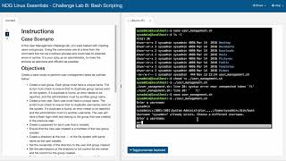 NDG Linux Essentials  Challenge Lab B Bash Scripting [upl. by Groeg]