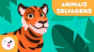 Animais selvagens para crianças  Vocabulário para crianças [upl. by Ojytteb]