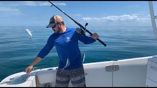 How to Catch Live Bait with a Sabiki Rig on the West Coast of Florida [upl. by Suzie]