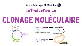 Introduction au clonage moléculaire de lADN [upl. by Enecnarf]