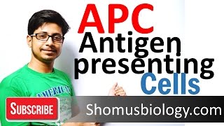 Antigen presenting cells APC [upl. by Blythe559]