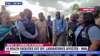 Flood Cuts Off 14 Health Facilities Laboratories In Maiduguri  WHO [upl. by Eyeleen995]