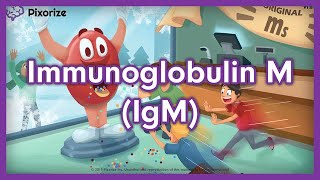 Immunoglobulin IgM or IgM USMLE Mnemonic Preview [upl. by Anaytat620]