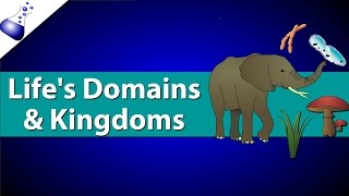 Domains and Kingdoms of life [upl. by Heaps]