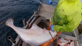 Halibut Fishing  Big Slabs or Broken Dreams  Longlining In Alaska [upl. by Itoc]