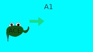 How does lisinopril or ACE inhibitors work [upl. by Aikim]