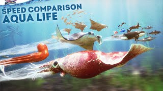 SPEED COMPARISON 3D  Aqua Life 🐠 [upl. by Nuy]