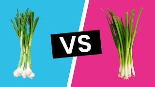 Scallions vs Green Onions  Whats the Difference [upl. by Nauqas]