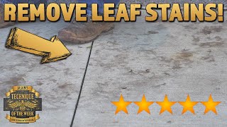 Remove Concrete Leaf Stains [upl. by Henrieta]