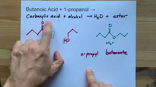 Butanoic Acid  Propanol  ESTER  water [upl. by Nasus]