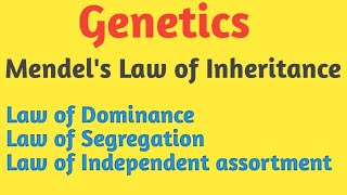 Genetics  Mendels Law of Inheritance  Pravin Bhosale [upl. by Red]