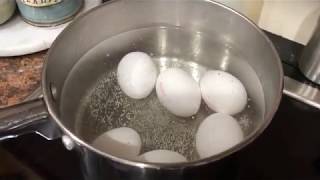 How to Cook Perfect Hard Boiled Eggs [upl. by Canfield569]