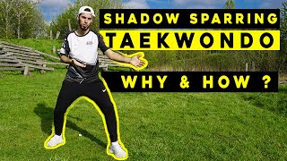 TUTORIAL  Taekwondo Shadow Sparring [upl. by Nadine]