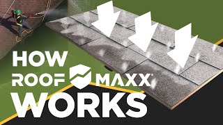 How does Roof Maxx rejuvenate your asphalt shingles [upl. by Taka]