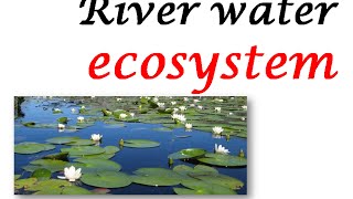 RIVER WATER ECOSYSTEM [upl. by Yruy593]