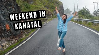 Kanatal Dhanaulti Weekend getaways from Delhi  Places to visit near Mussoorie  Kaudia Forest Walk [upl. by Fleurette551]