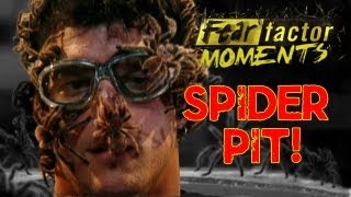 Fear Factor Moments  Tarantula Pit [upl. by Mata561]