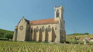 The Wines of Burgundy [upl. by Atirys632]