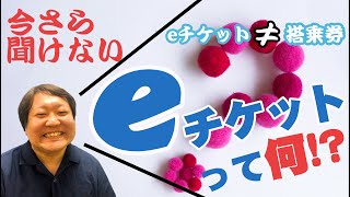 【今さら聞けない】海外旅行に必要なeチケットって何？搭乗券との違いを分かりやすく解説 [upl. by Eluj816]