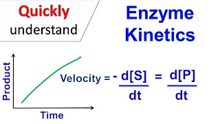 Enzyme kinetics [upl. by Raquel]