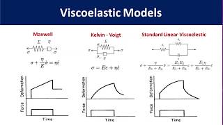 Polymer Viscoelasticity [upl. by Anytsirhc972]