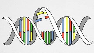 How UV Causes Cancer and Aging [upl. by Deborath501]