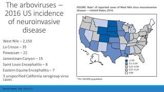 What is encephalitis [upl. by Esilana]