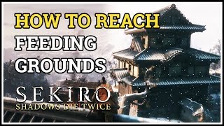 How to reach Feeding Grounds in Fountainhead Palace Sekiro [upl. by Tekcirc]